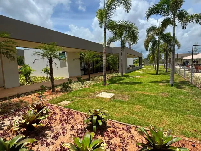Imagem: Mega oportunidade! Terras 5 abaixo do valor