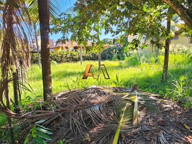 Imagem 4: Terreno Cercado em Barra Grande