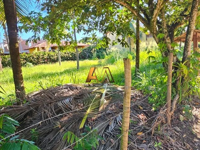 Imagem 3: Terreno Cercado em Barra Grande