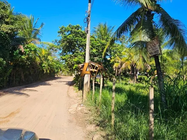 Imagem 2: Terreno Cercado em Barra Grande