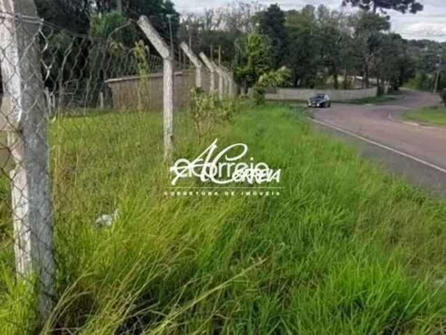 Imagem 2: Area excelente próxima a Chacara Santána Campo Magro