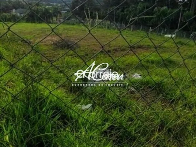 Imagem 3: Area excelente próxima a Chacara Santána Campo Magro