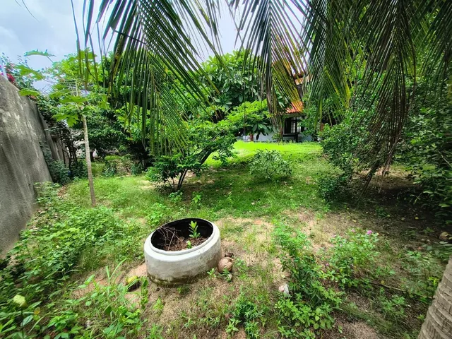 Imagem 3: Casa à Venda bairro Engenheiro Luciano Cavalcante c/ 5 Quartos e com acesso por