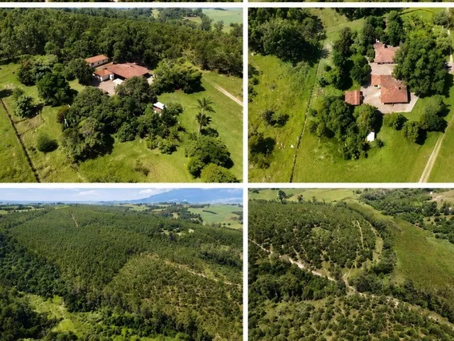 Imagem: Fazenda de Eucalipto a venda 387,20 Hectares