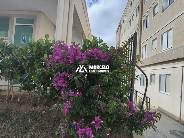 Imagem 2: Vendo lindo apartamento térreo com quintal, sendo 2 quartos, sala cozinha com vá