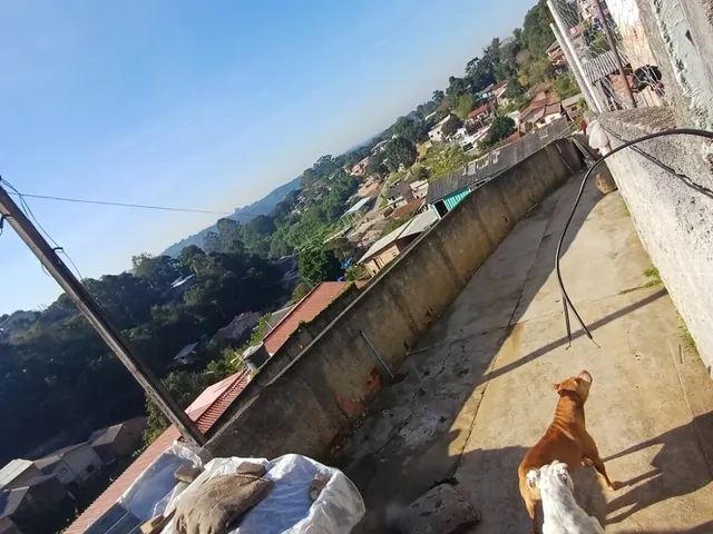 Imagem 2: Casa Madeira em Vila Torres I, Campo Largo/PR
