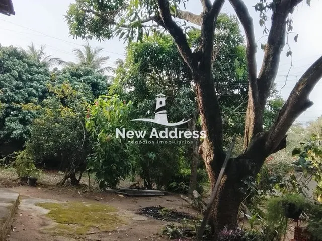 Imagem 12: Chácara com 2.500m² em Córrego 7 | Casa ampla, natureza e tranquilidade