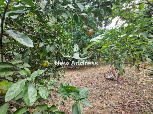 Imagem 8: Sítio Completo em Guarapari com 8.000m², 5 Quartos. Contato com a natureza