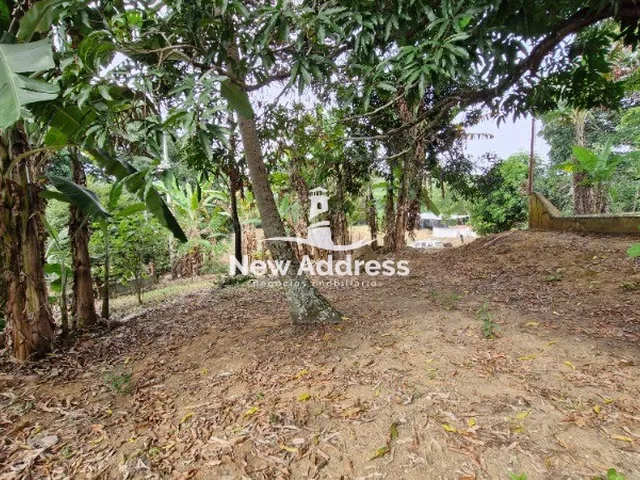 Imagem 15: Sítio Completo em Guarapari com 8.000m², 5 Quartos. Contato com a natureza