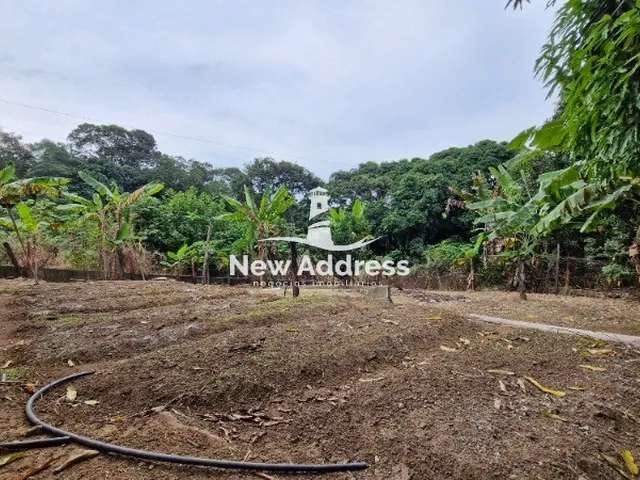 Imagem 9: Sítio Completo em Guarapari com 8.000m², 5 Quartos. Contato com a natureza