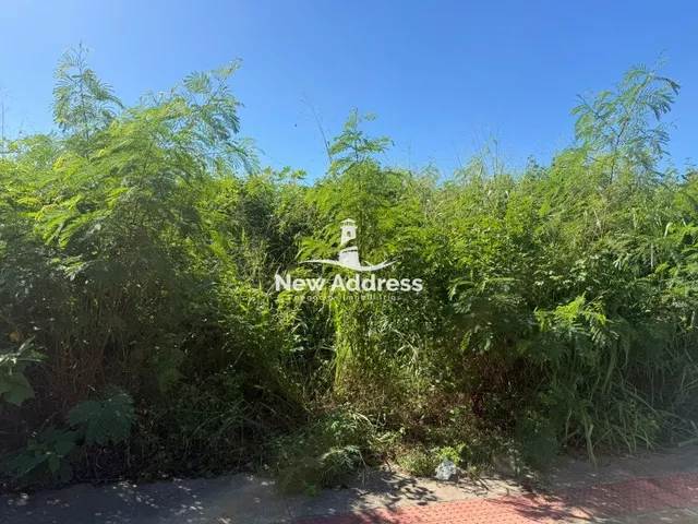 Imagem 3: Terreno escriturado à venda em Pontal das Garças. Oportunidade para investir ou