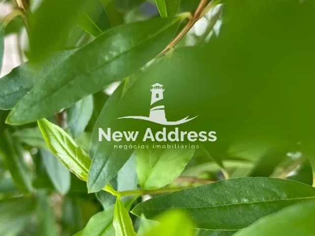 Imagem 2: Fazenda com aproximadamente 8 alqueires (387.200 m²), localizada em região estratégica