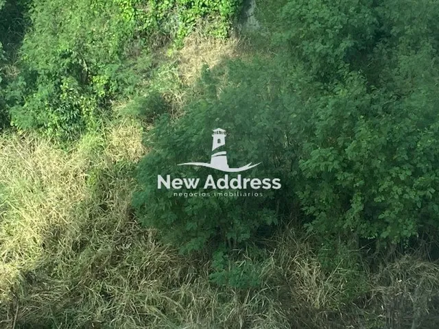 Imagem: Fazenda com aproximadamente 8 alqueires