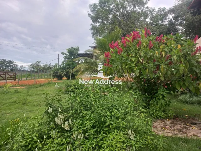 Imagem 10: Terreno com infraestrutura completa com água, energia, 5G e acesso asfaltado
