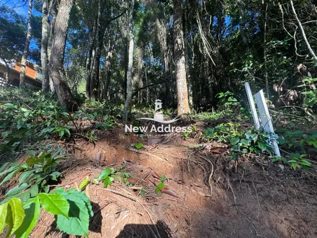 Imagem: Terreno escriturado à venda em Domingos