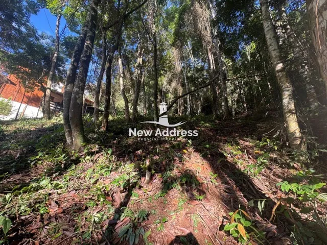 Imagem 5: Terreno escriturado à venda em Domingos Martins, vista privilegiada e fácil acesso, sem