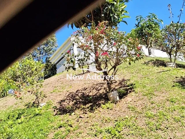 Imagem 6: Terreno com 5.000 m² à Venda - Marechal Floriano/ES