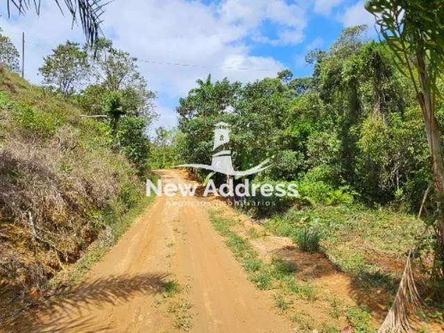 Imagem 6: Sítio com 20.000m² e Casa Charmosa de 140m², 2 Quartos, 2 Tanques de Peixe e Área de