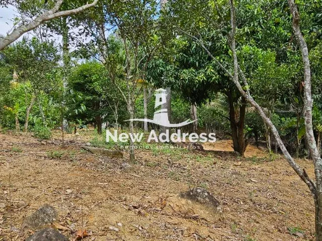 Imagem 11: Sítio com 20.000m² e Casa Charmosa de 140m², 2 Quartos, 2 Tanques de Peixe e Área de