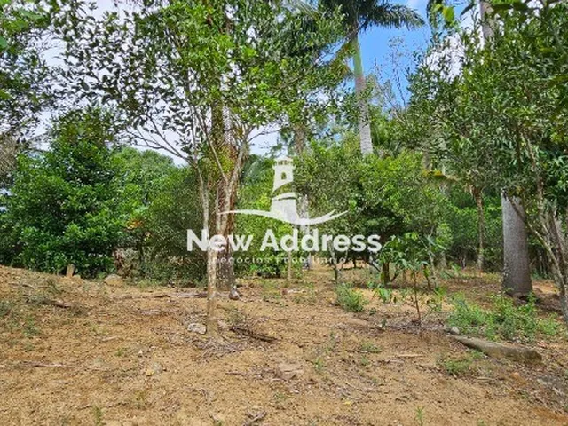 Imagem 13: Sítio com 20.000m² e Casa Charmosa de 140m², 2 Quartos, 2 Tanques de Peixe e Área de