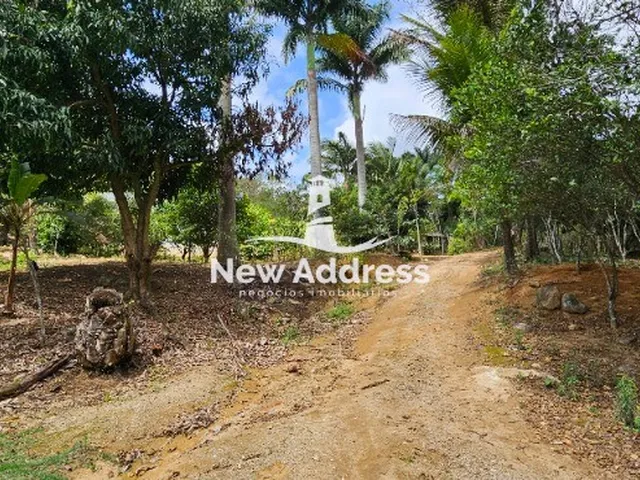 Imagem 7: Sítio com 20.000m² e Casa Charmosa de 140m², 2 Quartos, 2 Tanques de Peixe e Área de