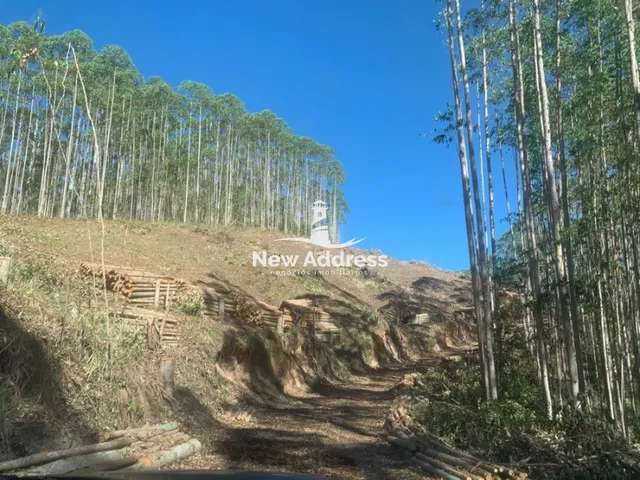 Imagem: Terreno à venda ao lado do Parque do China