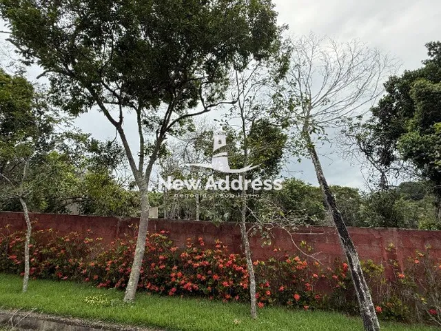 Imagem 15: Casa no Retiro do Congo: 4 andares, terreno 4 mil m², piscina de 90 m², 5 suítes, 4