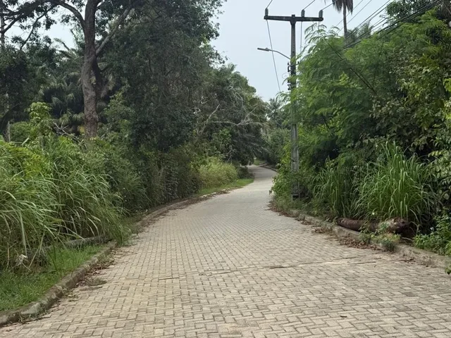 Imagem 7: Lote à Venda em Mata de São João 2786m² Próximo ao Castelo Garcia d?Ávila
