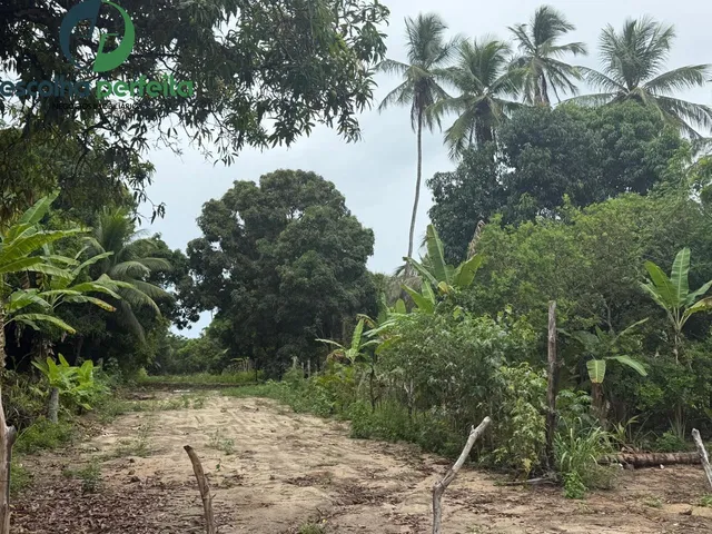 Imagem 12: Lote à Venda em Mata de São João 2786m² Próximo ao Castelo Garcia d?Ávila