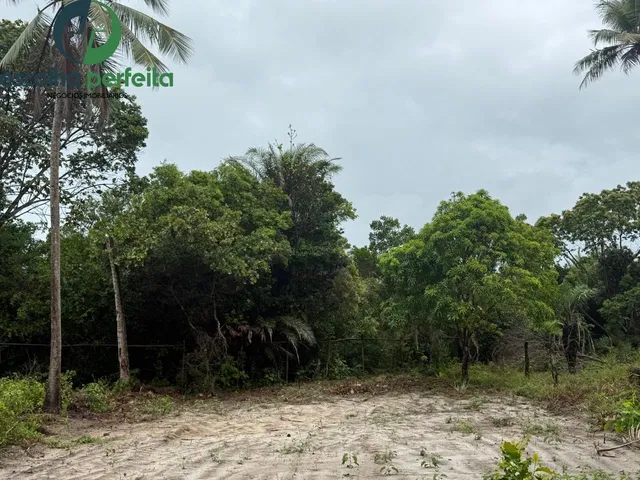 Imagem 6: Lote à Venda em Mata de São João 2786m² Próximo ao Castelo Garcia d?Ávila