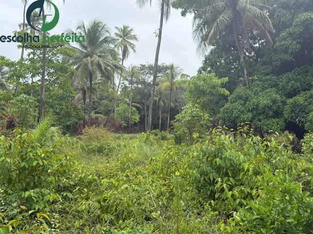 Imagem 3: Lote à Venda em Mata de São João 2786m² Próximo ao Castelo Garcia d?Ávila