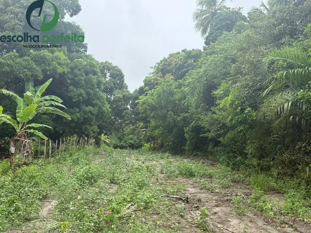 Imagem 2: Lote à Venda em Mata de São João 2786m² Próximo ao Castelo Garcia d?Ávila