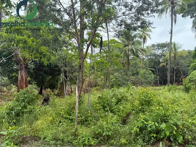 Imagem 5: Lote à Venda em Mata de São João 2786m² Próximo ao Castelo Garcia d?Ávila