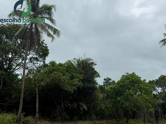 Imagem 11: Lote à Venda em Mata de São João 2786m² Próximo ao Castelo Garcia d?Ávila
