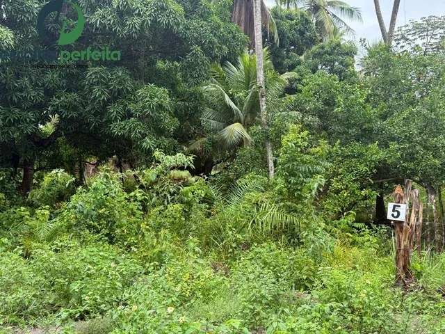 Imagem 9: Lote à Venda em Mata de São João 2786m² Próximo ao Castelo Garcia d?Ávila