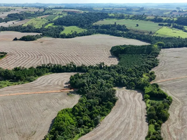 Imagem 12: EXCELENTE SÍTIO A VENDA EM ITAPETININGA - SP* ?? Formação: Agricultura e