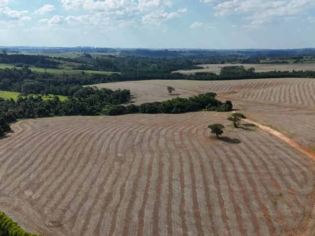 Imagem 3: EXCELENTE SÍTIO A VENDA EM ITAPETININGA - SP* ?? Formação: Agricultura e