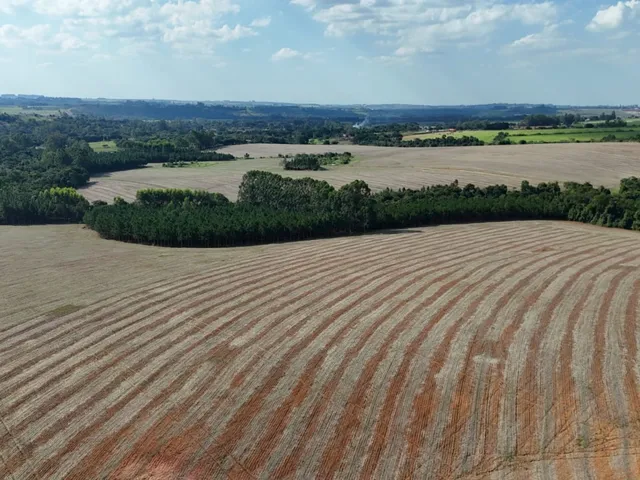 Imagem 16: EXCELENTE SÍTIO A VENDA EM ITAPETININGA - SP* ?? Formação: Agricultura e
