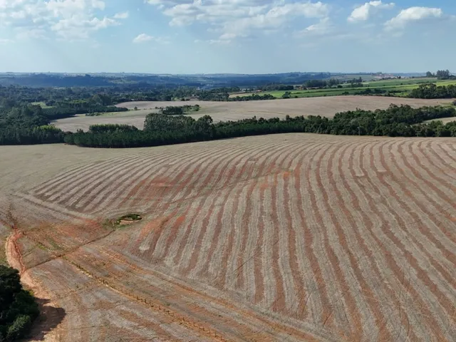 Imagem 7: EXCELENTE SÍTIO A VENDA EM ITAPETININGA - SP* ?? Formação: Agricultura e