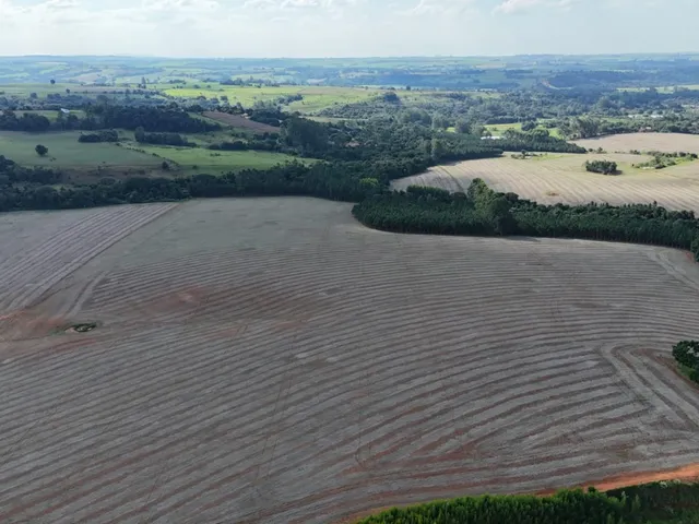 Imagem 11: EXCELENTE SÍTIO A VENDA EM ITAPETININGA - SP* ?? Formação: Agricultura e