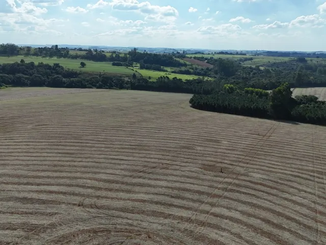 Imagem 4: EXCELENTE SÍTIO A VENDA EM ITAPETININGA - SP* ?? Formação: Agricultura e