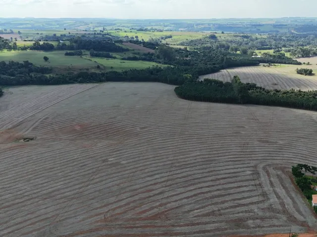 Imagem 2: EXCELENTE SÍTIO A VENDA EM ITAPETININGA - SP* ?? Formação: Agricultura e