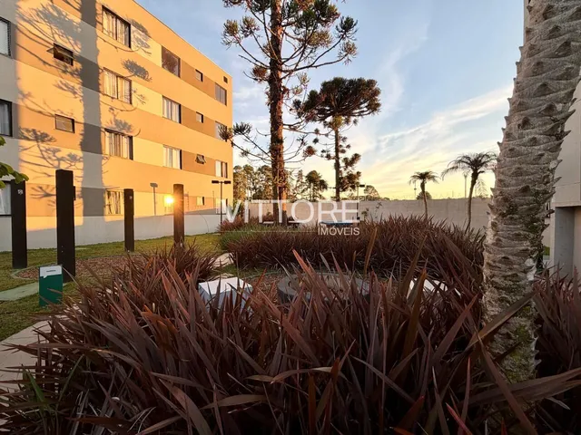 Imagem 12: Apartamento 48m² - 02 dormitórios - Ouro Fino - São José dos Pinhais