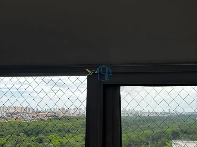 Imagem 8: Condomínio Nova colina - APARTAMENTO NO NOVA COLINA / APARATMENTO 2 QUARTOS NOVA COLINA