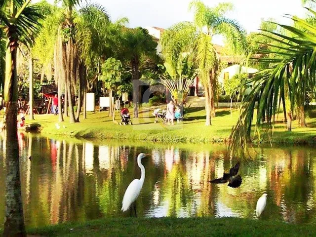 Imagem 3: Terreno à venda na Vila Haro, Sorocaba