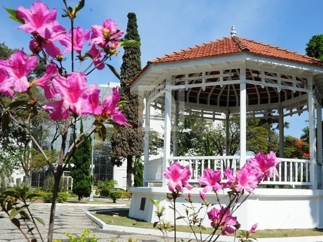 Imagem 5: Terreno à venda na Vila Haro, Sorocaba