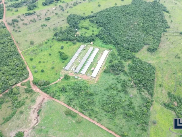 Imagem: Sitio com granja de corte para venda na