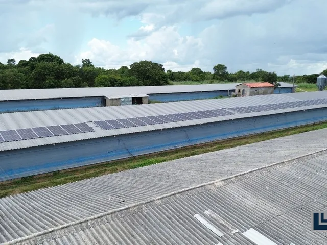 Imagem 6: Sitio com granja de corte para venda na região de Paraiso do Tocantins-TO