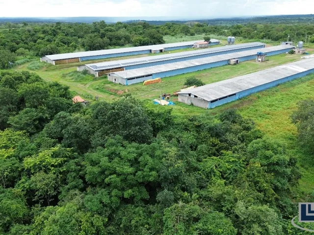 Imagem 5: Sitio com granja de corte para venda na região de Paraiso do Tocantins-TO