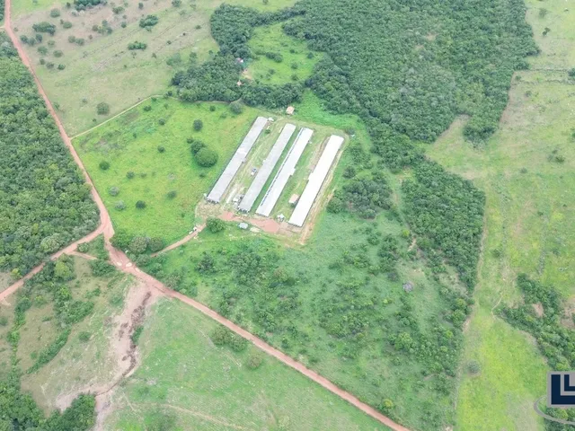 Imagem 11: Sitio com granja de corte para venda na região de Paraiso do Tocantins-TO